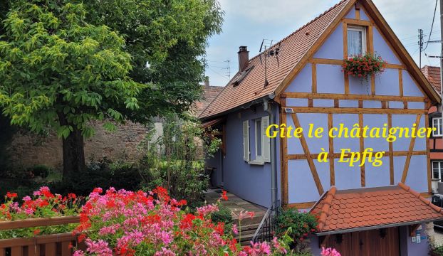 Gite in Epfig - Vacation, holiday rental ad # 72304 Picture #0