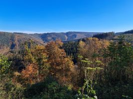 Gite in Trois-ponts voor  8
