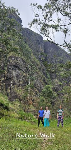 Maison  Nuweraeliya  - Location vacances, location saisonnire n75693 Photo n8