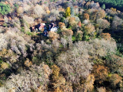 Gite in Ousse-Suzan - Vacation, holiday rental ad # 75729 Picture #10