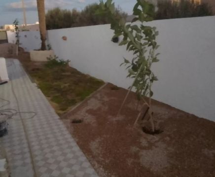 House in Djerba  - Vacation, holiday rental ad # 75743 Picture #11