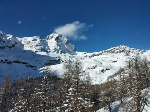 Huoneisto (miss) Cervinia - Ilmoituksen yksityiskohdat:75762 Kuva nro1