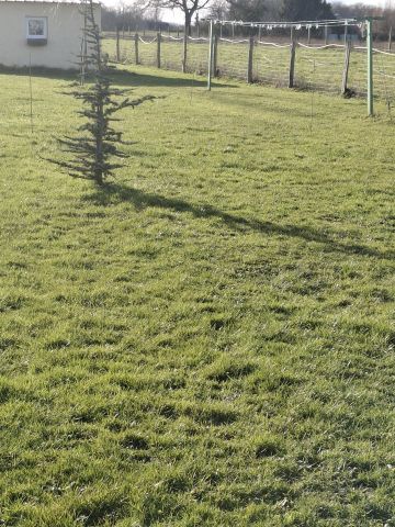 Gite  Montgivray - Location vacances, location saisonnire n75821 Photo n11