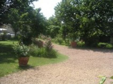 Bed and Breakfast in Brissac loire aubance - Vakantie verhuur advertentie no 75830 Foto no 4