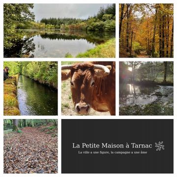 Gite  Tarnac - Location vacances, location saisonnire n75946 Photo n13
