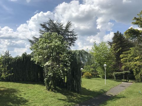 Maison  Montlucon - Location vacances, location saisonnire n75969 Photo n12