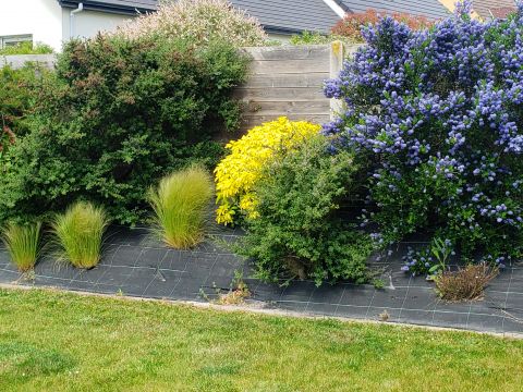 Gite  Saint valery sur somme - Location vacances, location saisonnire n75974 Photo n14
