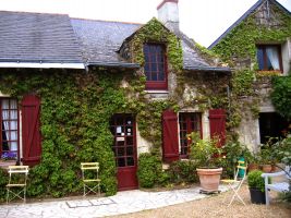 Bed and Breakfast in Brissac loire aubance for   7 •   1 bedroom 