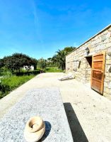 Calvi -    animaux accepts (chien, chat...) 