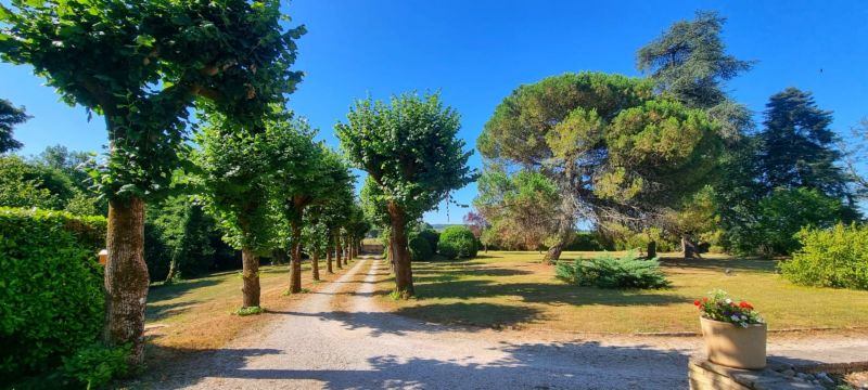 Maison  Bergerac - Location vacances, location saisonnire n76023 Photo n8