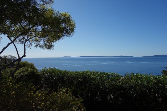 Appartement in Le lavandou - Anzeige N  76161 Foto N1