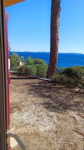 Appartement in Le lavandou - Anzeige N  76161 Foto N11