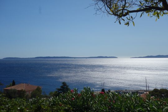 Appartement in Le lavandou - Anzeige N  76161 Foto N2