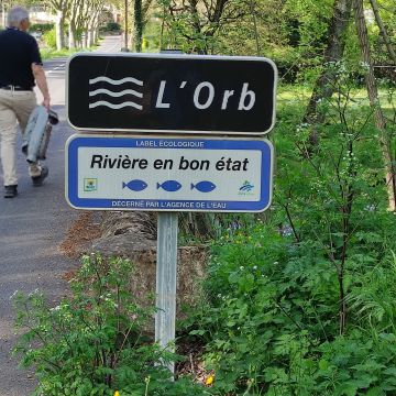 Flat in Ceilhes et Rocozels - Vacation, holiday rental ad # 76180 Picture #3