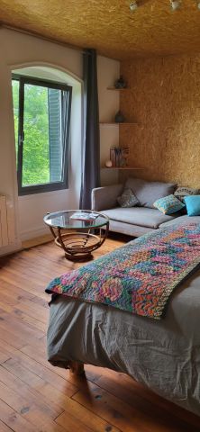 Maison � Gelles - Location vacances, location saisonni�re n�76190 Photo n�1