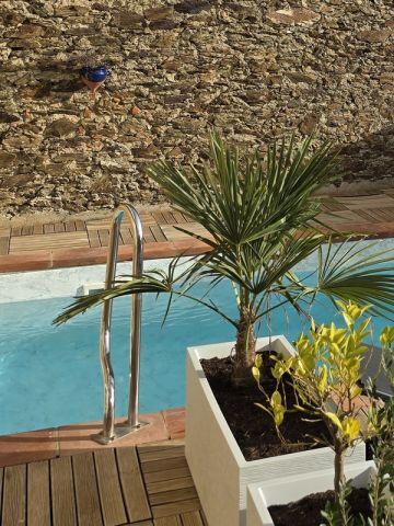Appartement � Port-Vendres (66) - Location vacances, location saisonni�re n�76288 Photo n�11