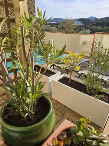Appartement � Port-Vendres (66) - Location vacances, location saisonni�re n�76288 Photo n�13