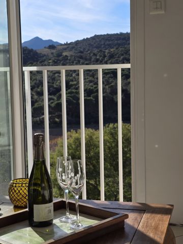 Appartement � Port-Vendres (66) - Location vacances, location saisonni�re n�76288 Photo n�7