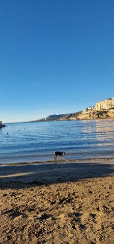 Flat in Pe�iscola - Vacation, holiday rental ad # 76297 Picture #1