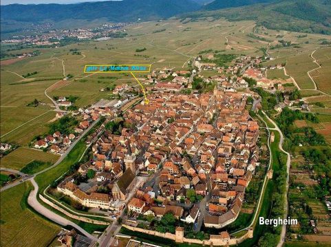 Gite in Bergheim - Vakantie verhuur advertentie no 76298 Foto no 11