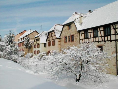 Gite in Bergheim - Vakantie verhuur advertentie no 76298 Foto no 13
