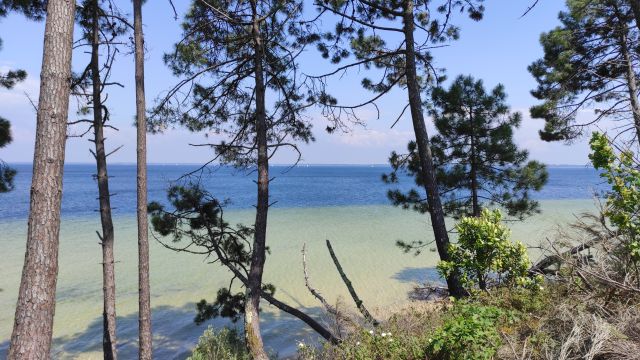 House in La Teste de Buch - Vacation, holiday rental ad # 76351 Picture #14