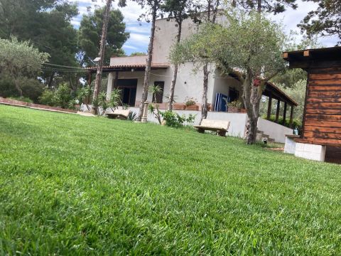  in Altavilla milicia - Anzeige N�  76404 Foto N�10