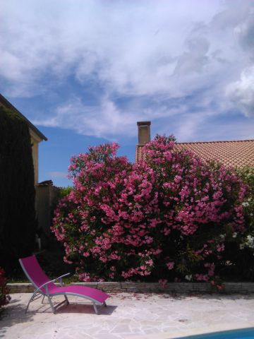 Maison � Nyons  - Location vacances, location saisonni�re n�76411 Photo n�4