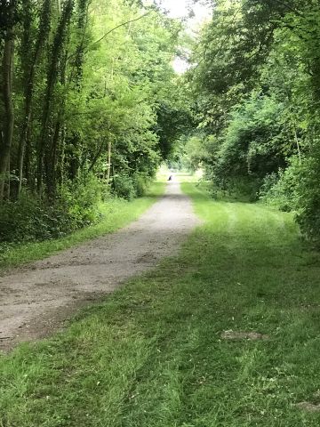 Farm in Bettencourt riviere - Vacation, holiday rental ad # 76412 Picture #9