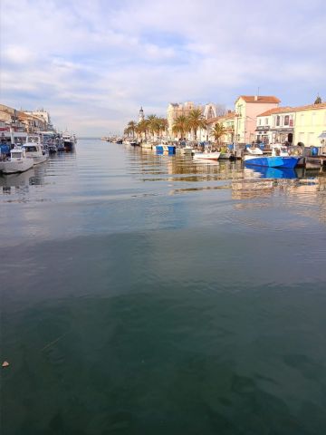 Studio � Le Grau-du-Roi - Location vacances, location saisonni�re n�76444 Photo n�3