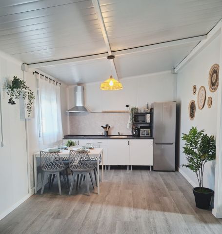 Gite in Conil de la frontera - Anzeige N�  76503 Foto N�2