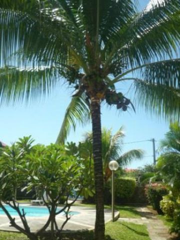 Maison � Grand Baie - Location vacances, location saisonni�re n�76523 Photo n�13
