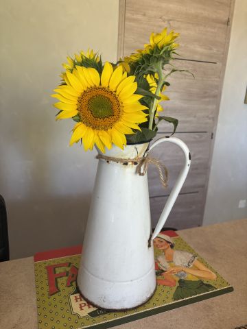 Gite � Montans - Location vacances, location saisonni�re n�76534 Photo n�2