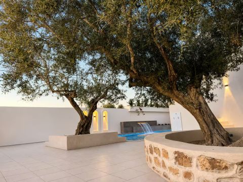 Maison � Djerba - Location vacances, location saisonni�re n�76536 Photo n�10