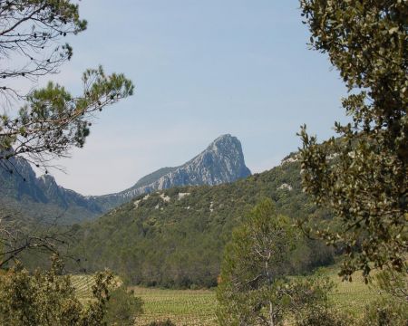 Gite in Galargues - Anzeige N  19099 Foto N12