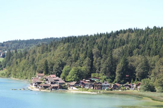 Bauernhof in Hauterive la fresse - Anzeige N  19245 Foto N11