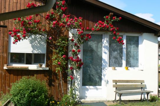 Casa en Arcachon - Detalles sobre el alquiler n19420 Foto n6