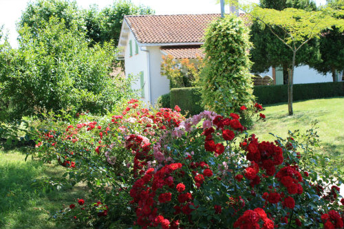 Gite 3 cles avec piscine