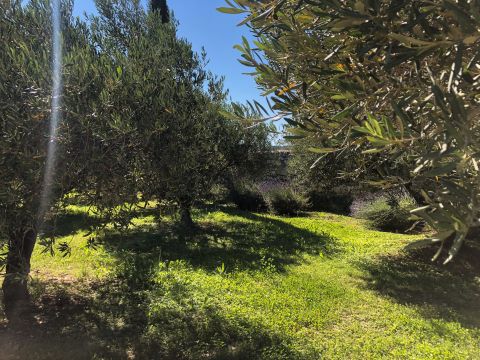 Casa rural en Roquemaure - Detalles sobre el alquiler n19479 Foto n4