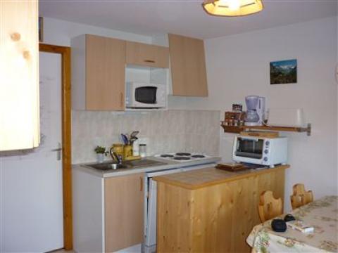 Flat in Le biot - Vacation, holiday rental ad # 19870 Picture #0