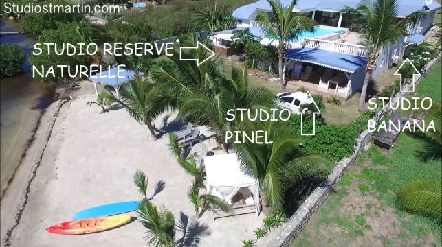 Studio in St martin - Vacation, holiday rental ad # 19903 Picture #1