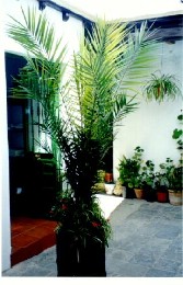 Casa en Conil de la frontera para  2 •   con terraza 