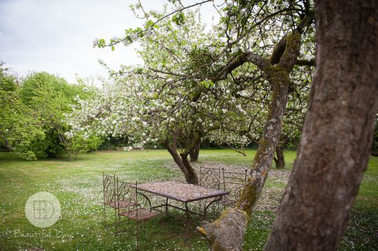 Finca en Chatenay Sur Seine - Detalles sobre el alquiler n20000 Foto n10