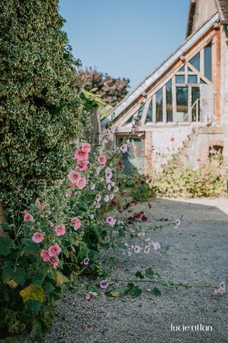 Bauernhof in Chatenay Sur Seine - Anzeige N  20000 Foto N15