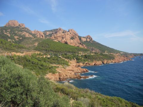 Gite in Fr�jus - Vacation, holiday rental ad # 20266 Picture #2