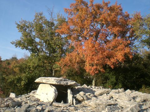 Casa rural en Labeaume - Detalles sobre el alquiler n20929 Foto n17