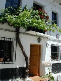 Casa rural en Pinos genil para  4 •   animales aceptados (perro, gato...) 