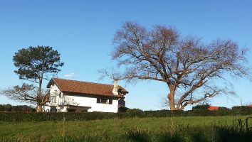 Maison Bidart - 9 personnes - location vacances