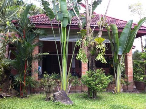 House in Ao nang - Vacation, holiday rental ad # 21967 Picture #2