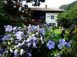 Millstatt -    2 Schlafzimmer 